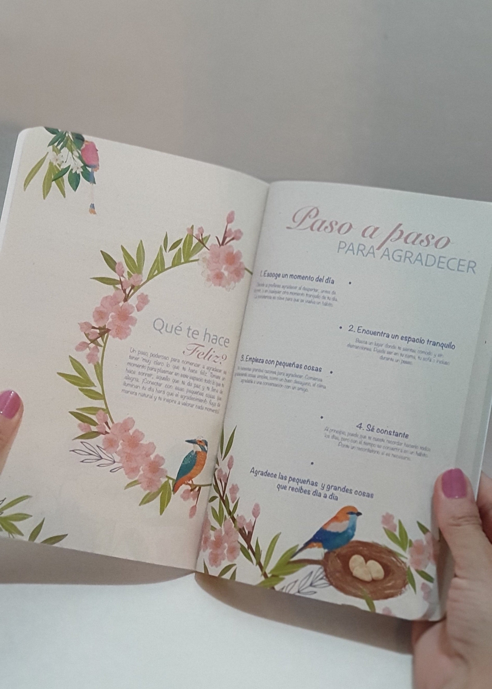 365 Días de Agradecimiento | Diario de gratitud y bienestar emocional
