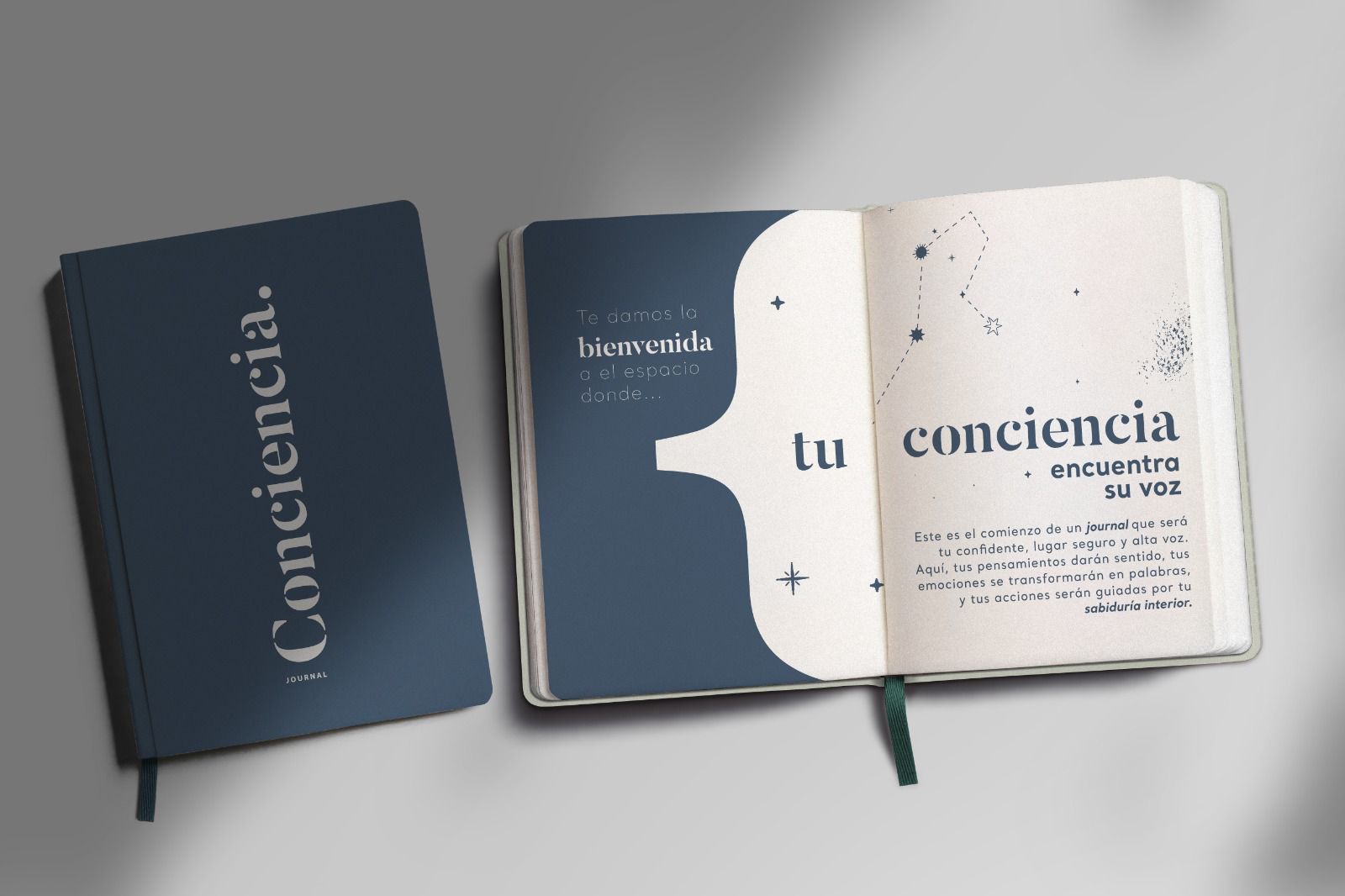 Diario Conciencia