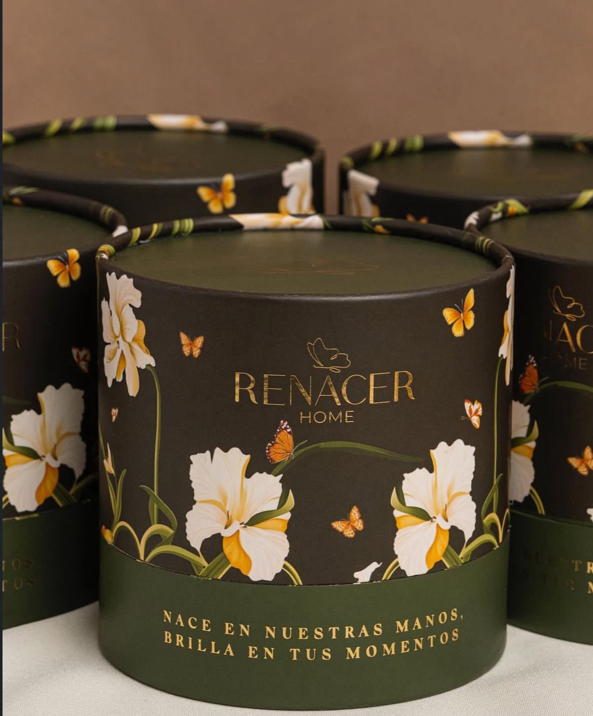 Vela Renacer Velvet Nigth