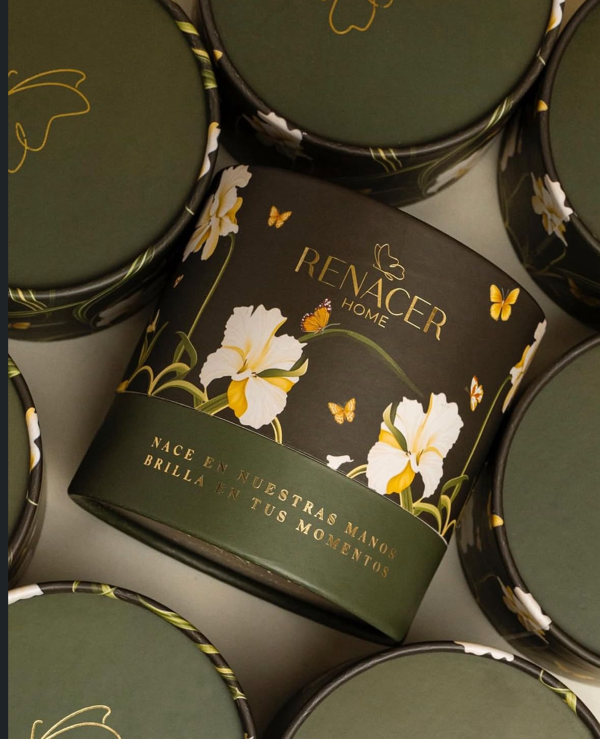 Vela Renacer Silent Green