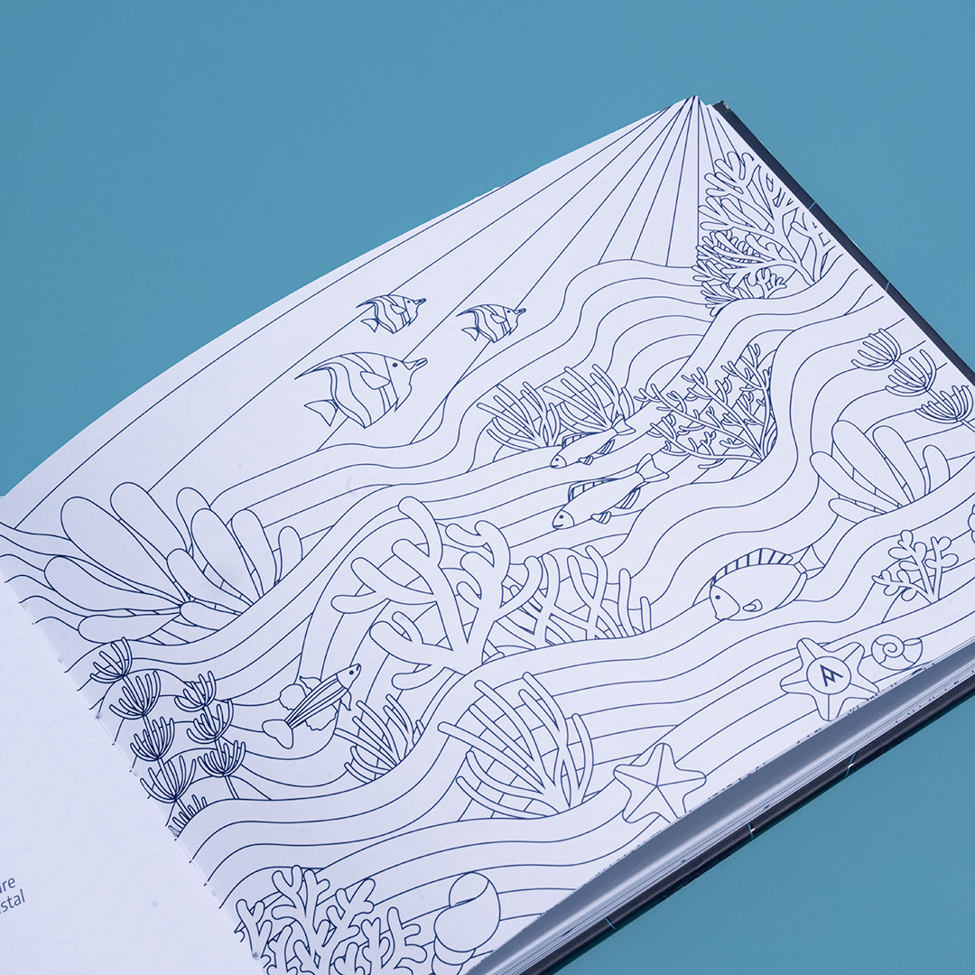 Libro Mandalas Para el Alma en el Mar