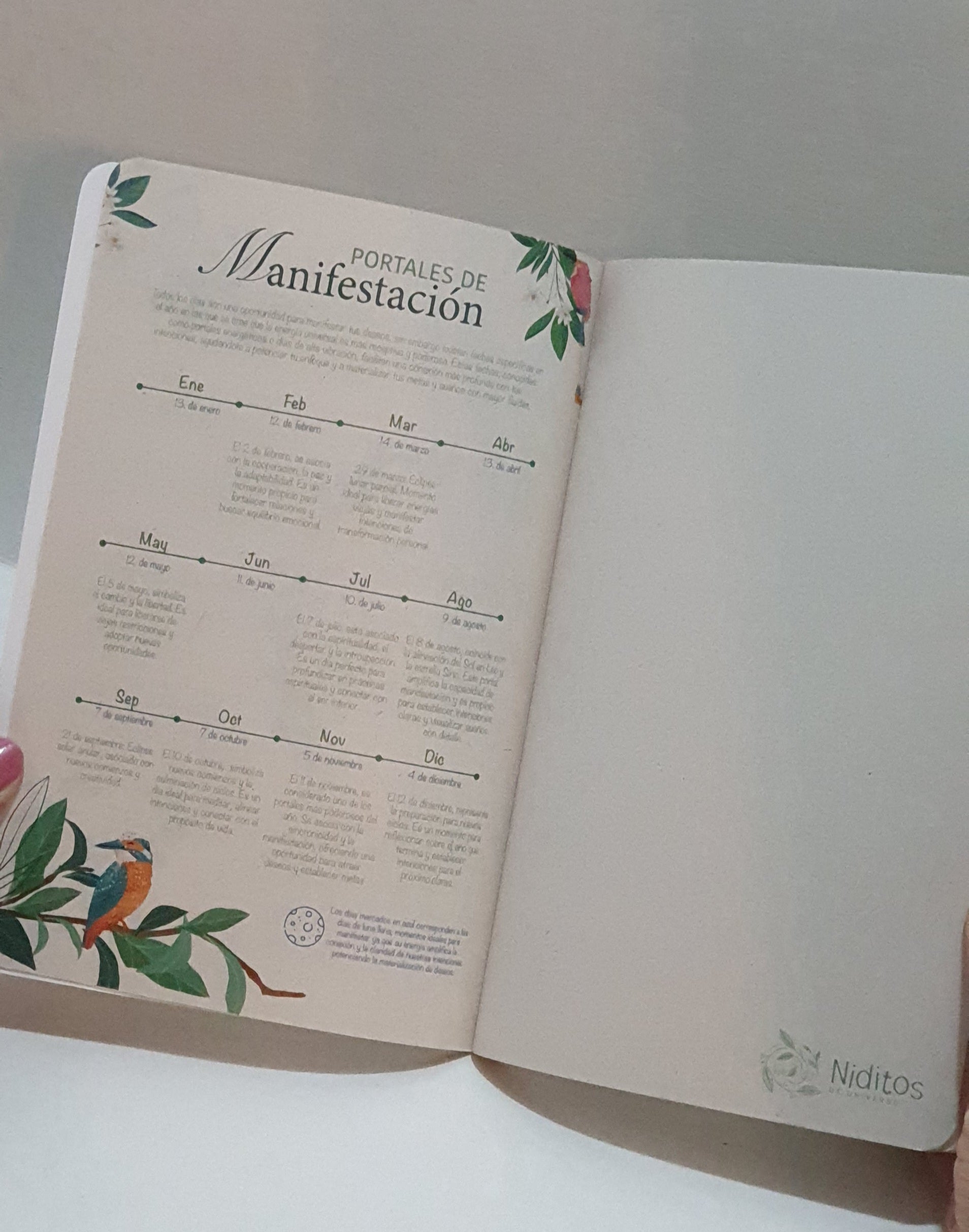 Libreta para Manifestar | Diario de manifestación y escritura consciente
