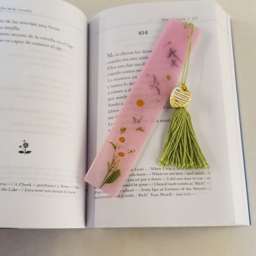 Separador de Libros