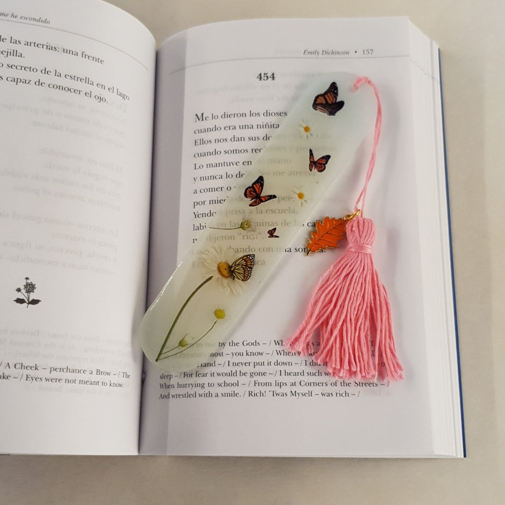 Separador de Libros