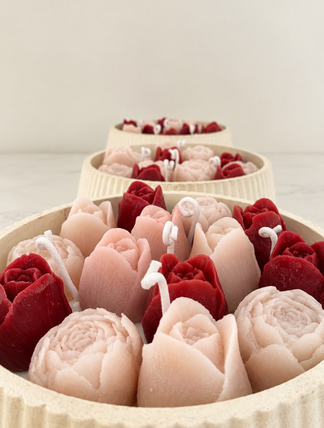 Maxi Vela Rosas y Tulipanes