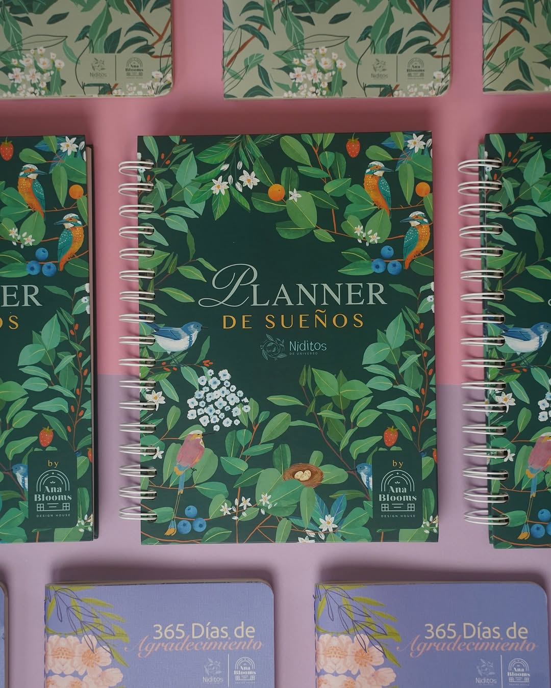 Planner de Sueños | Agenda de manifestación y planificación sin fechas