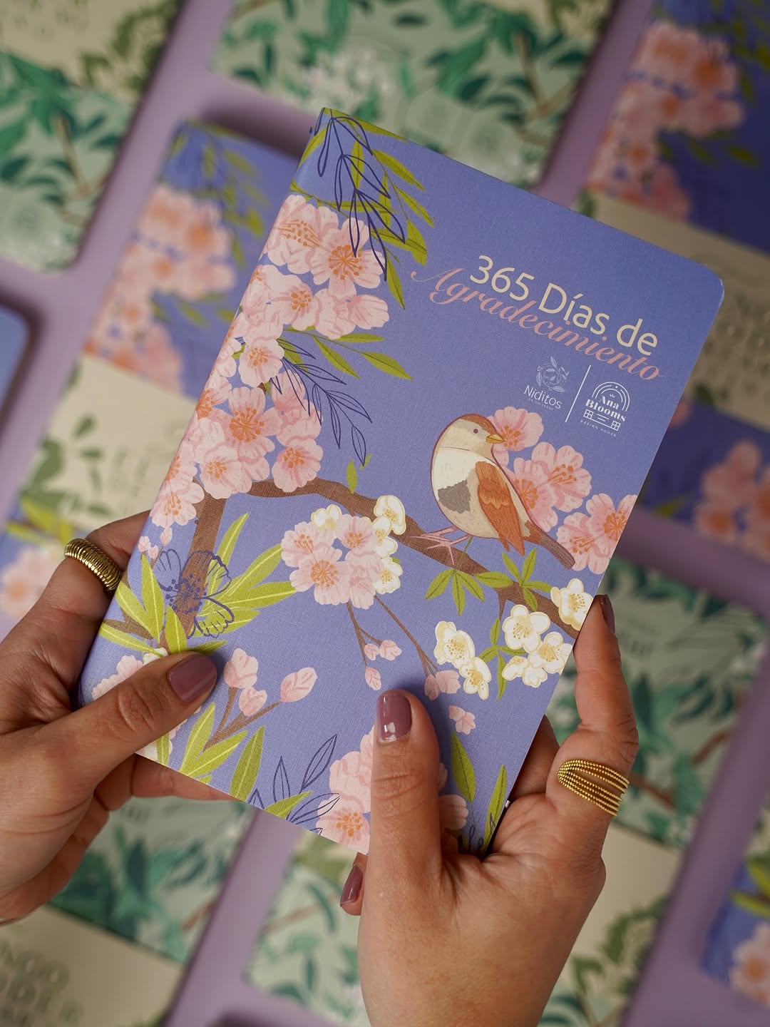 365 Días de Agradecimiento | Diario de gratitud y bienestar emocional