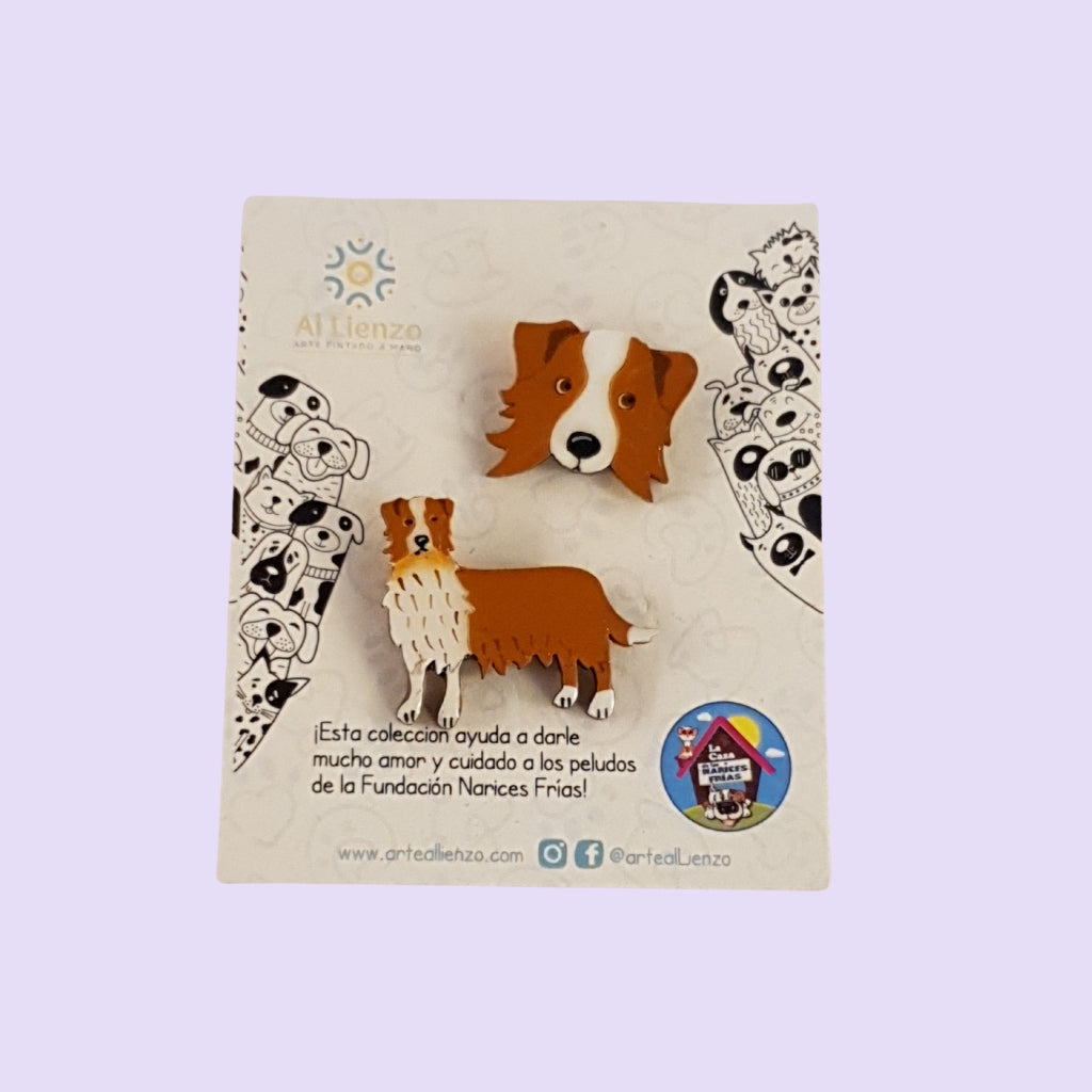 Pin Mascotas